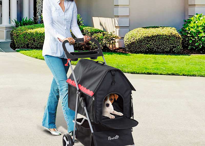 3 raisons d&rsquo;opter pour la poussette pour chien